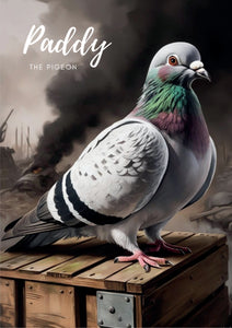 Paddy the Pigeon Children's Book