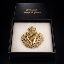 Load image into Gallery viewer, Shamrock Harp &amp; Crown Entwined Brooch